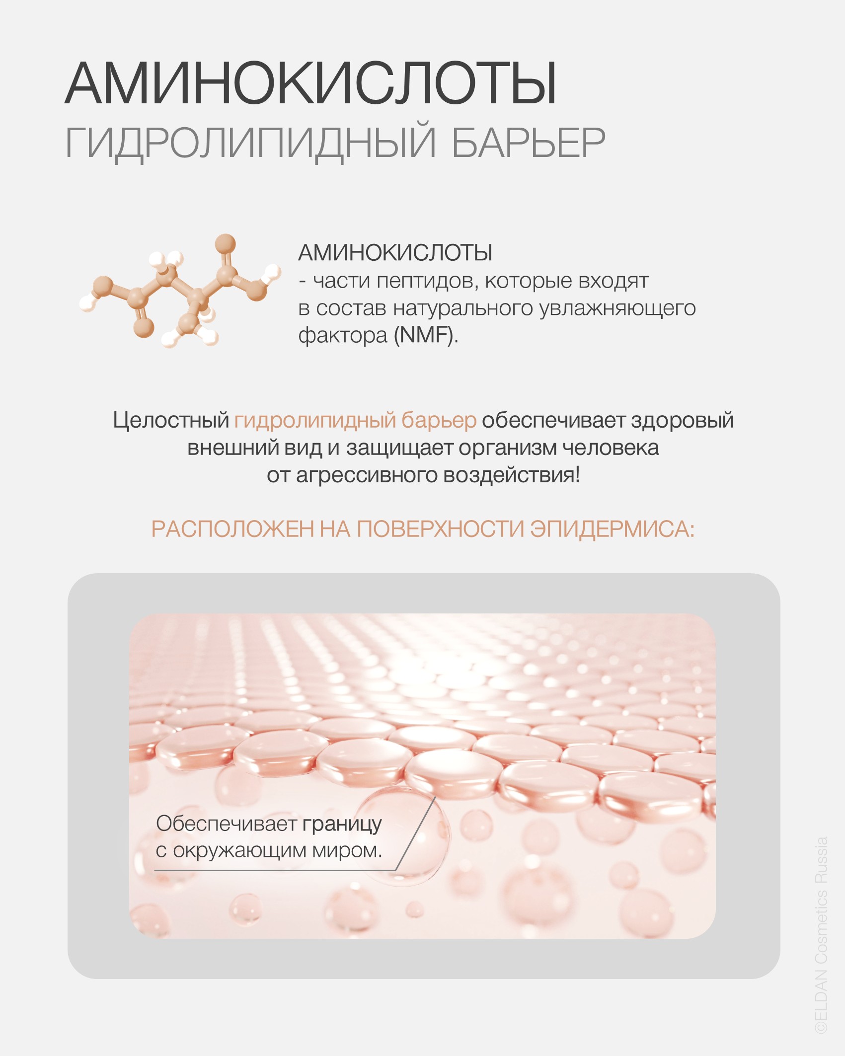 Пост аминокислоты 2.jpg